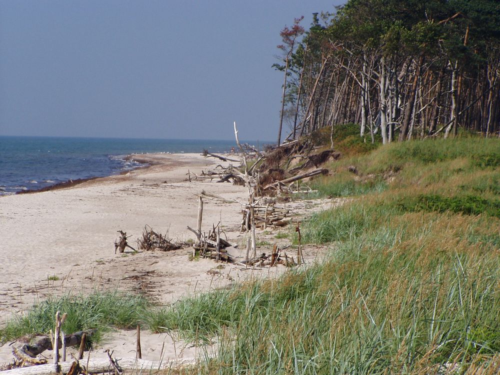 Ostseestrand