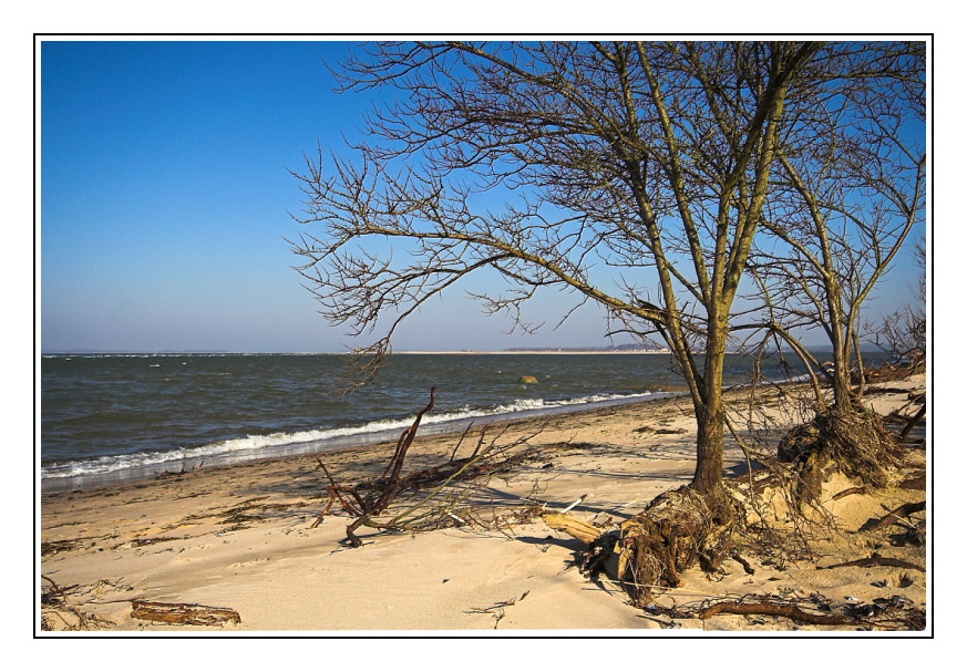 Ostseestrand