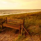 Ostseestrand Ahrenshoop 3