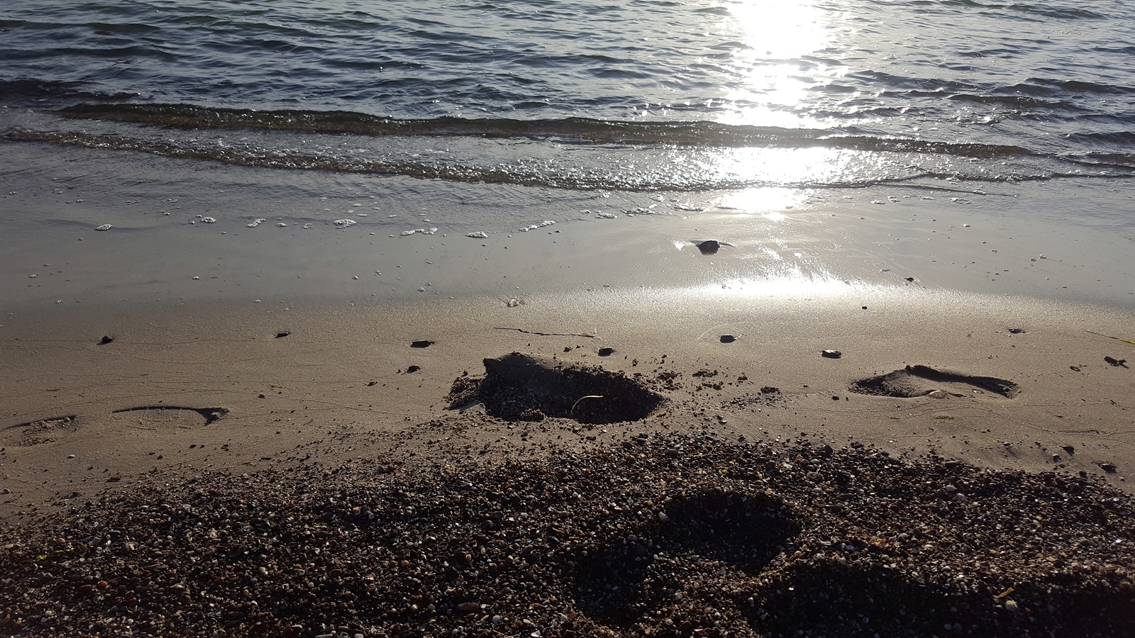 Ostseestrand an der Insel Rügen