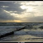 Ostseestrand auf der Insel Hiddensee