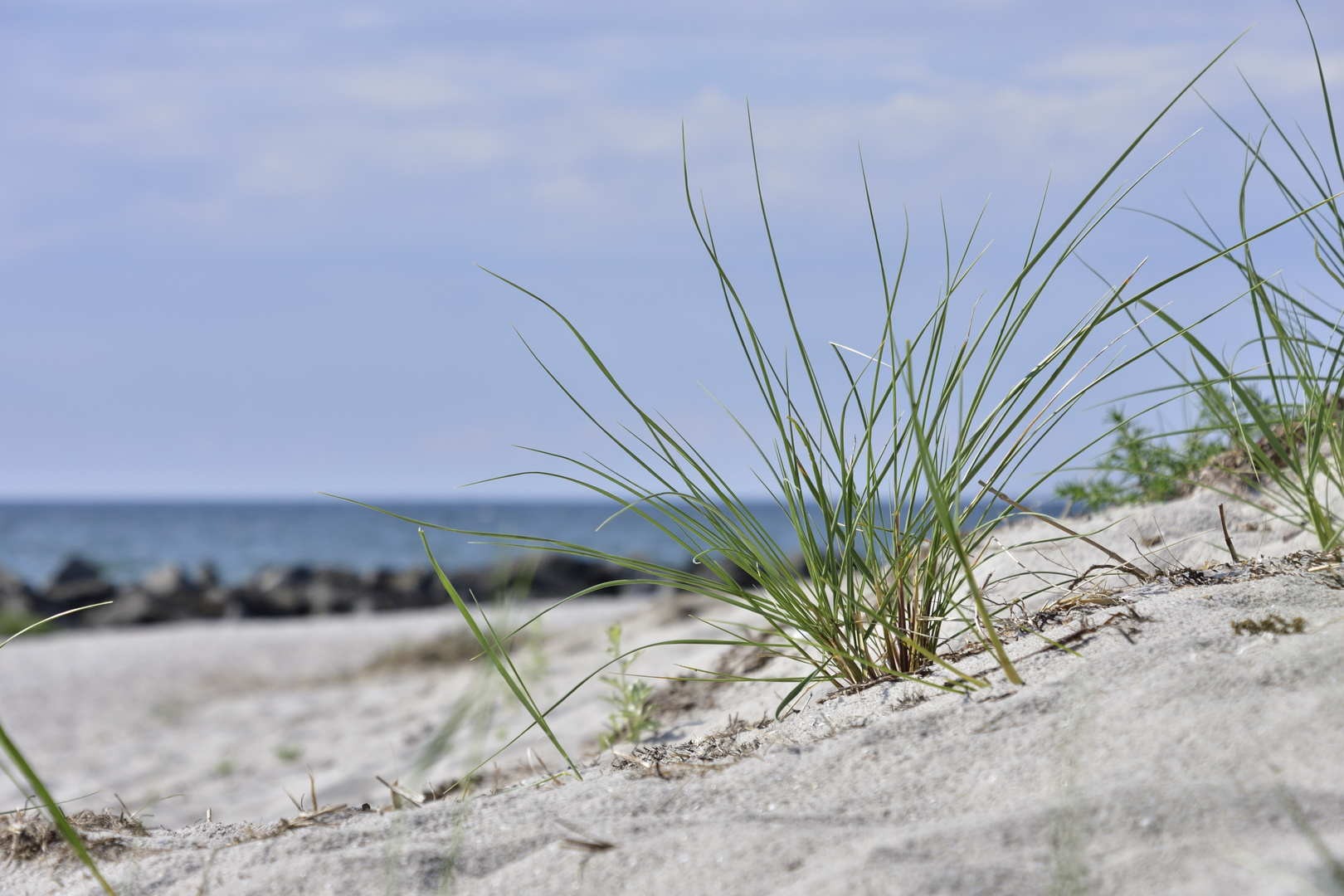 Ostseestrand auf Hiddensee