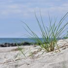 Ostseestrand auf Hiddensee