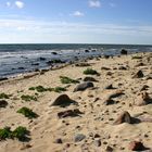 Ostseestrand auf Hiiumaa / Estland