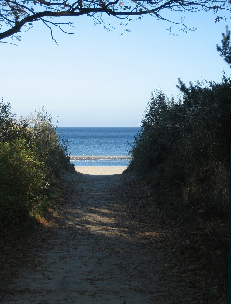 Ostseestrand auf Usedom (Heringsdorf) 2005