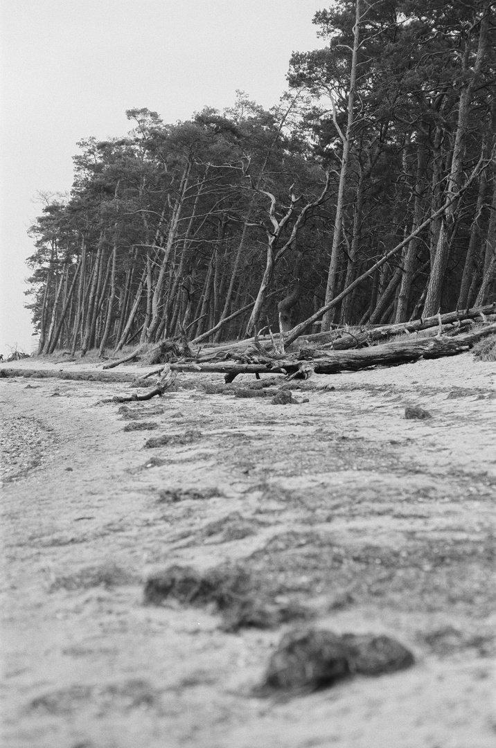 Ostseestrand