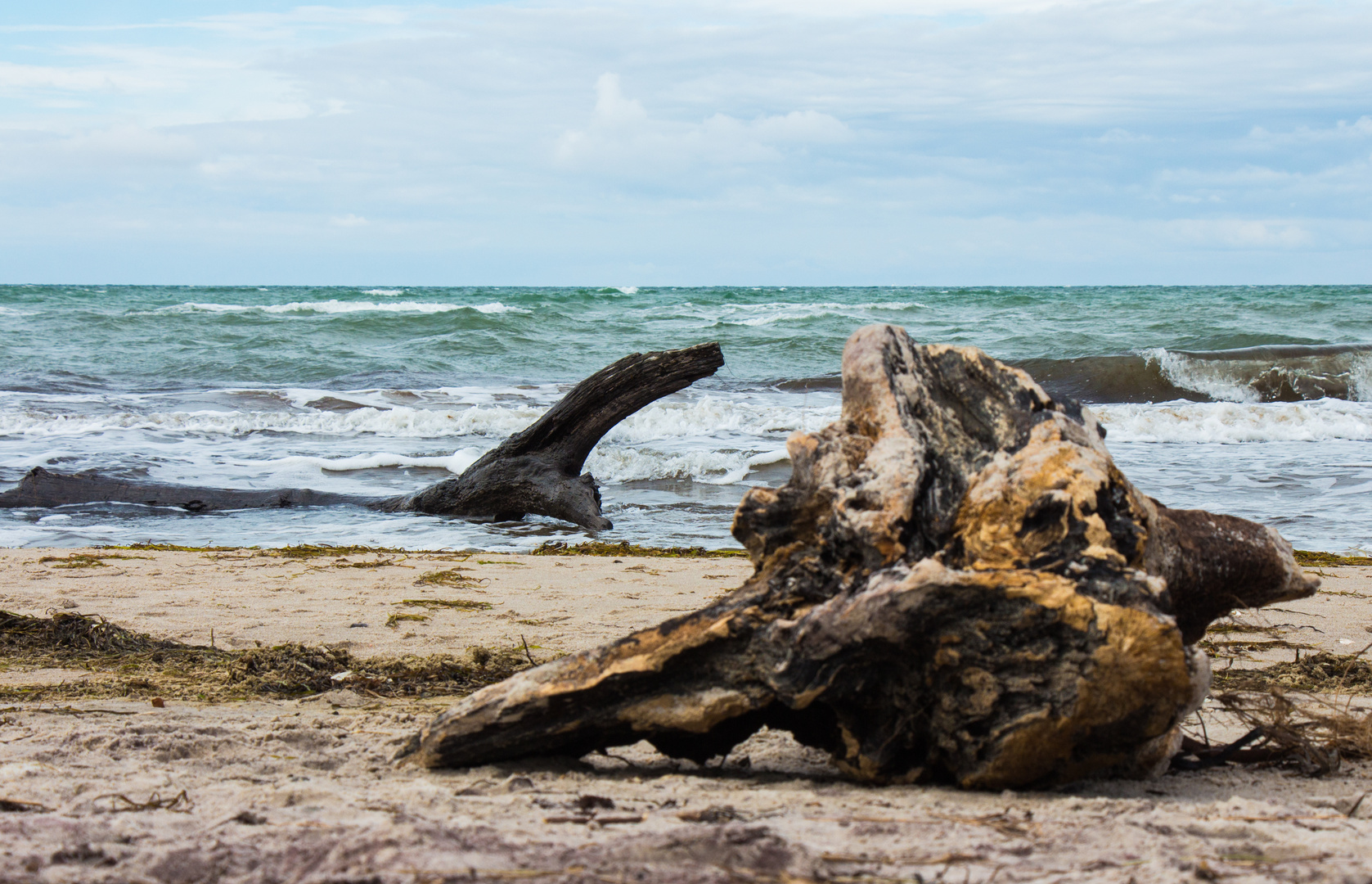 Ostseestrand bei Ahrenshoop 2