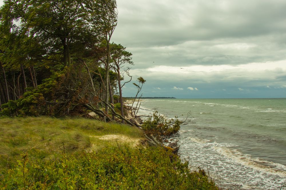 Ostseestrand bei Ahrenshoop