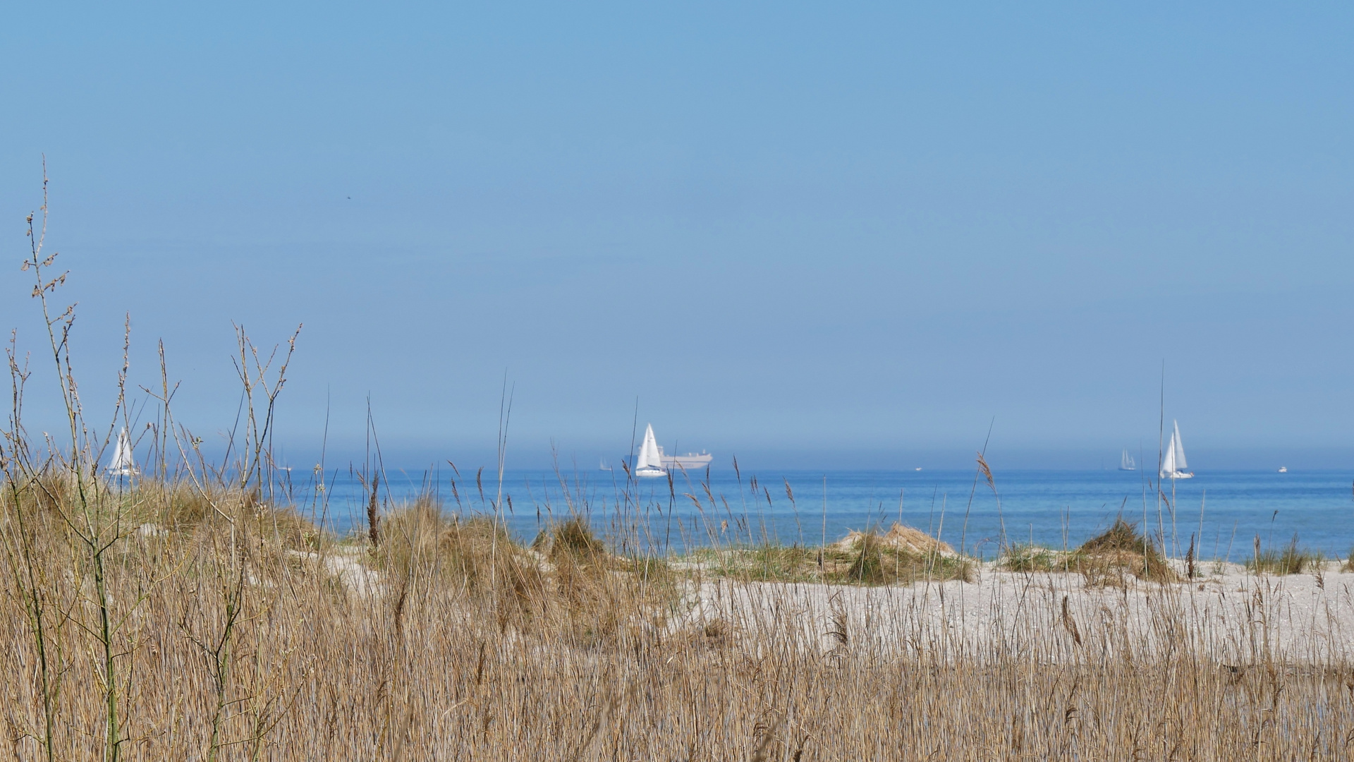 Ostseestrand bei Laboe