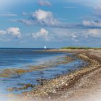 Ostseestrand bei Maasholm/Schleswig-Holstein I