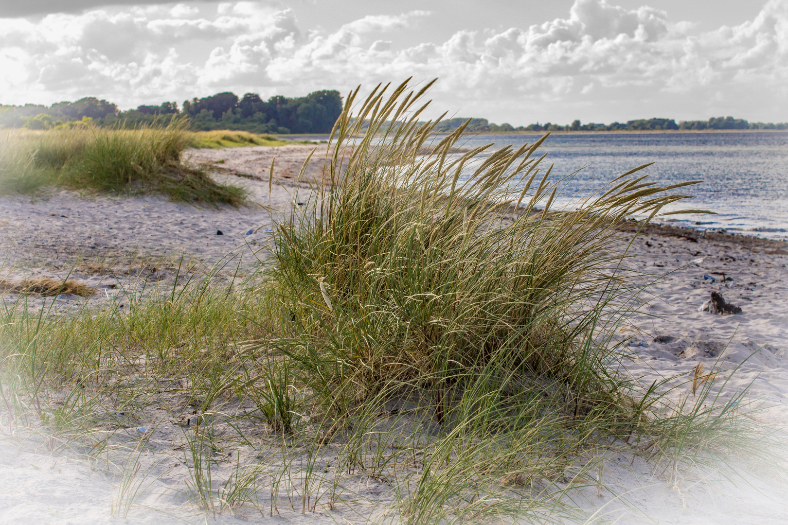 Ostseestrand bei Maasholm/Schleswig-Holstein II