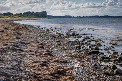 Ostseestrand bei Maasholm/Schleswig-Holstein III 