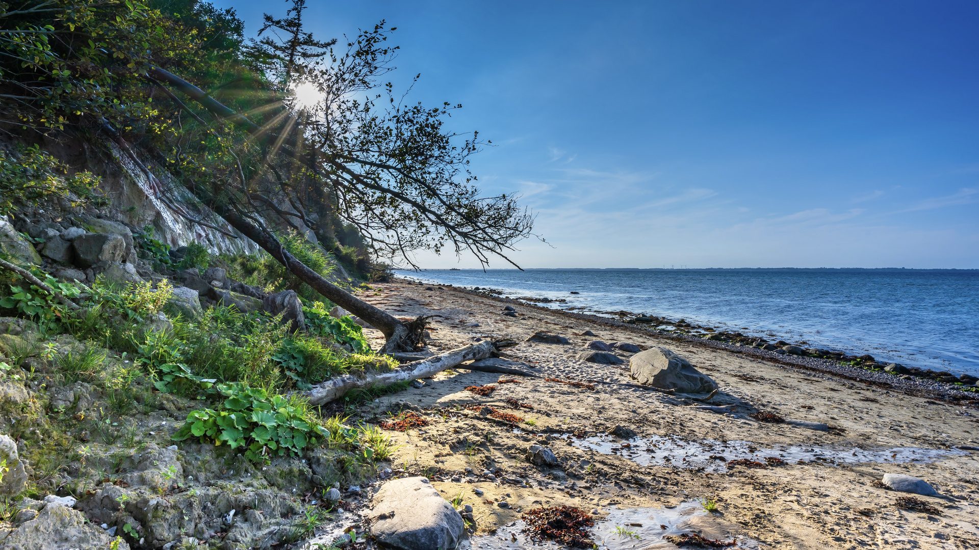 Ostseestrand