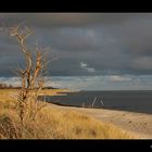 Ostseestrand im Herbst