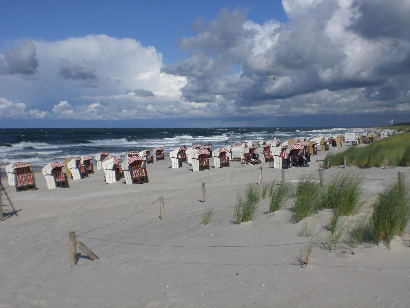 Ostseestrand im Herbst