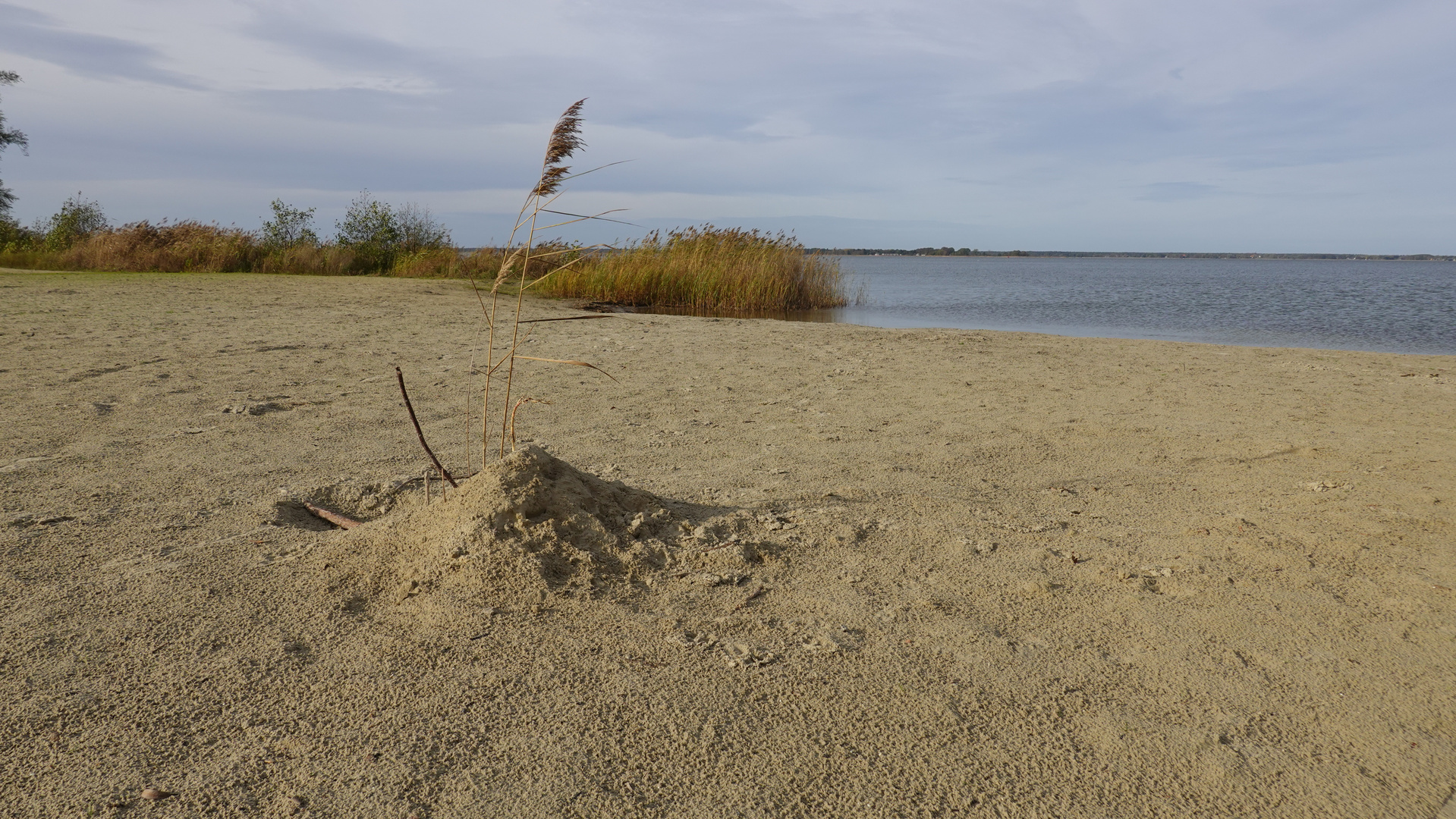 Ostseestrand im Spätherbst und kein Mensch