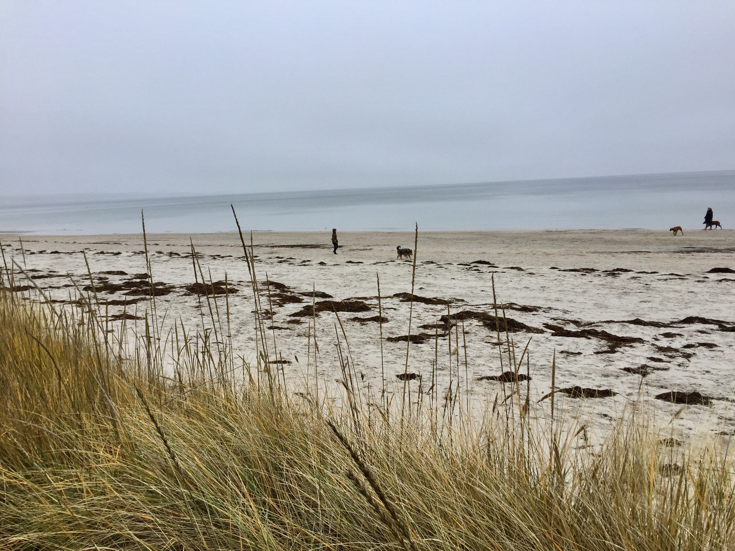 Ostseestrand im Winter