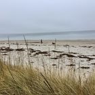 Ostseestrand im Winter