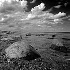 Ostseestrand mal schwarz weiss