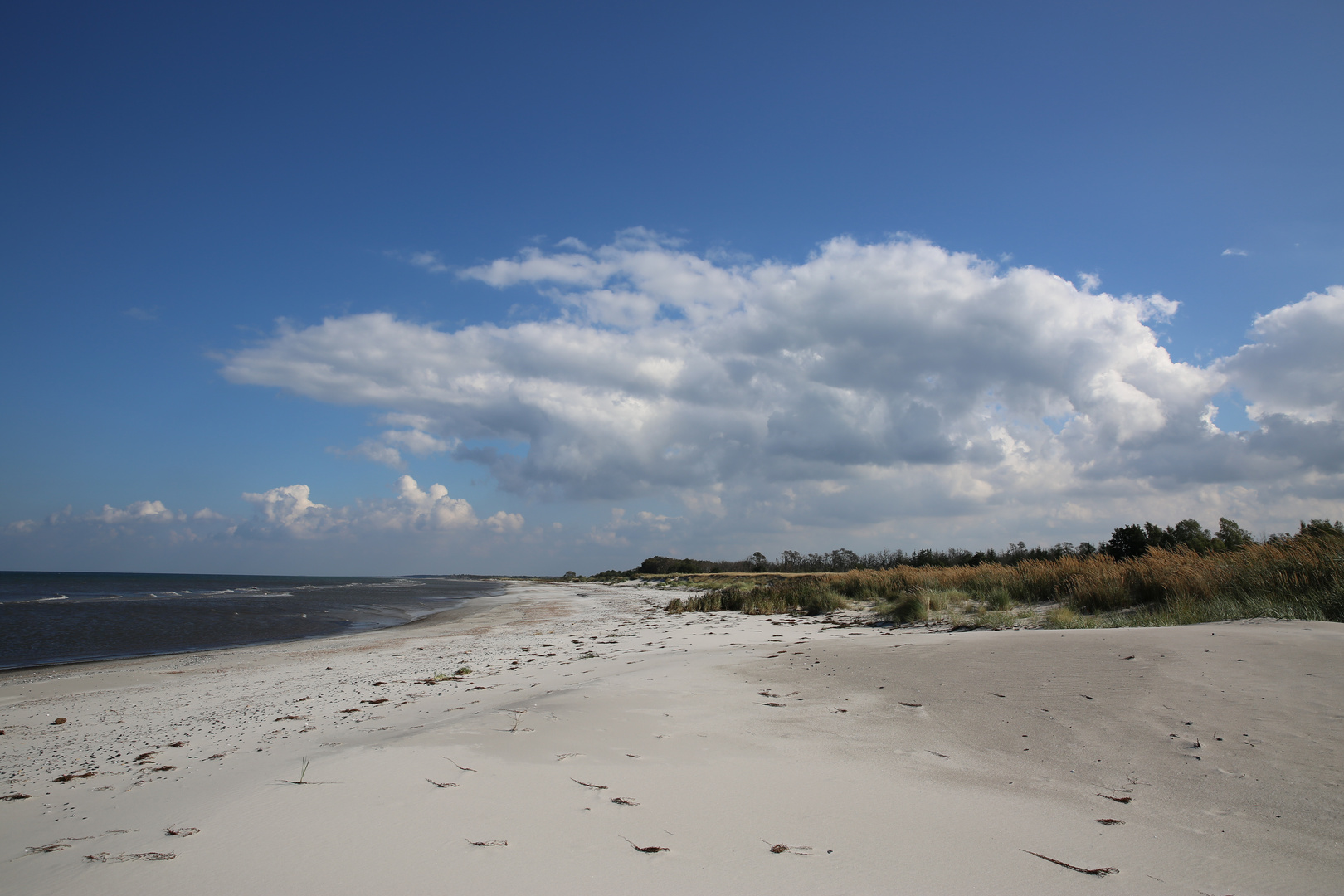 Ostseestrand Pramort