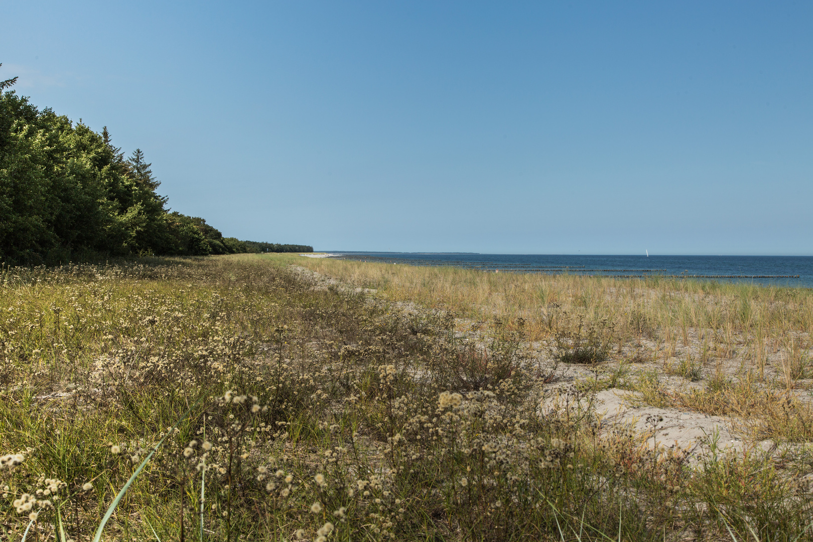 Ostseestrand pur