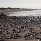 Ostseestrand - Strandgut