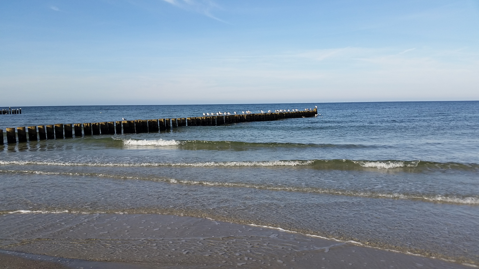 Ostseestrand Zingst