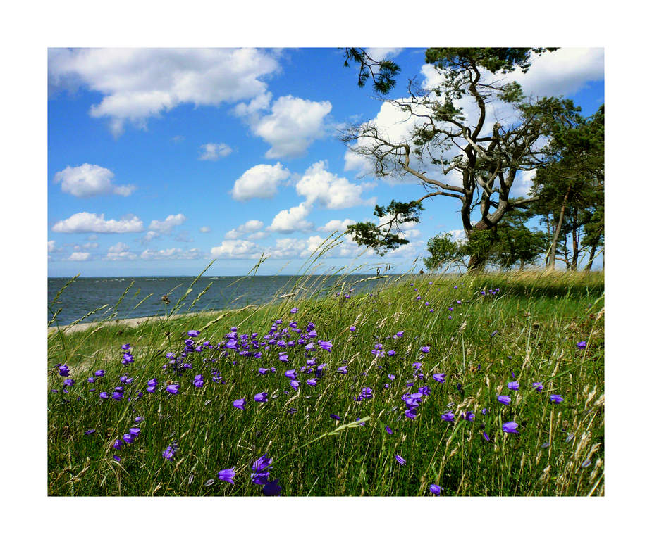 Ostseetraumstrand