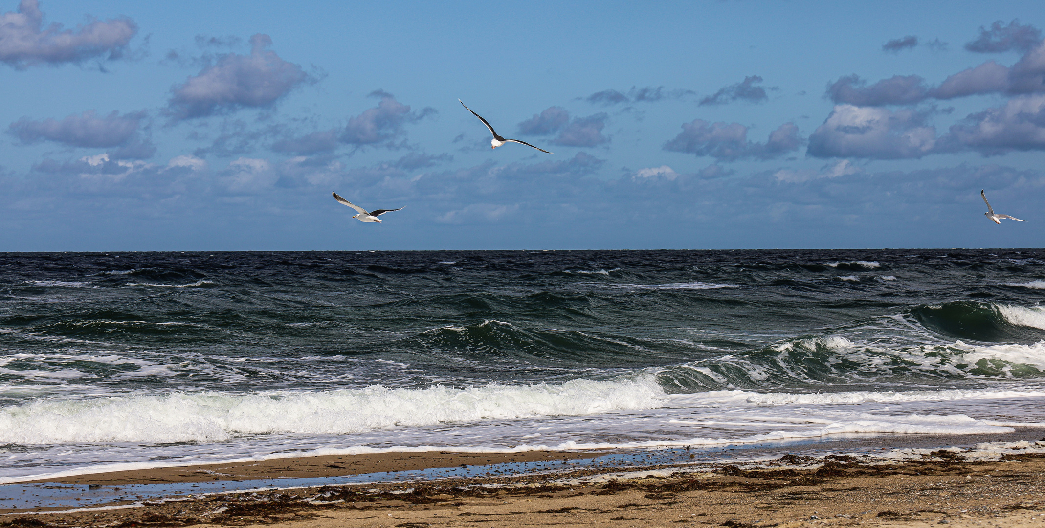 Ostseeurlaub  2019...097