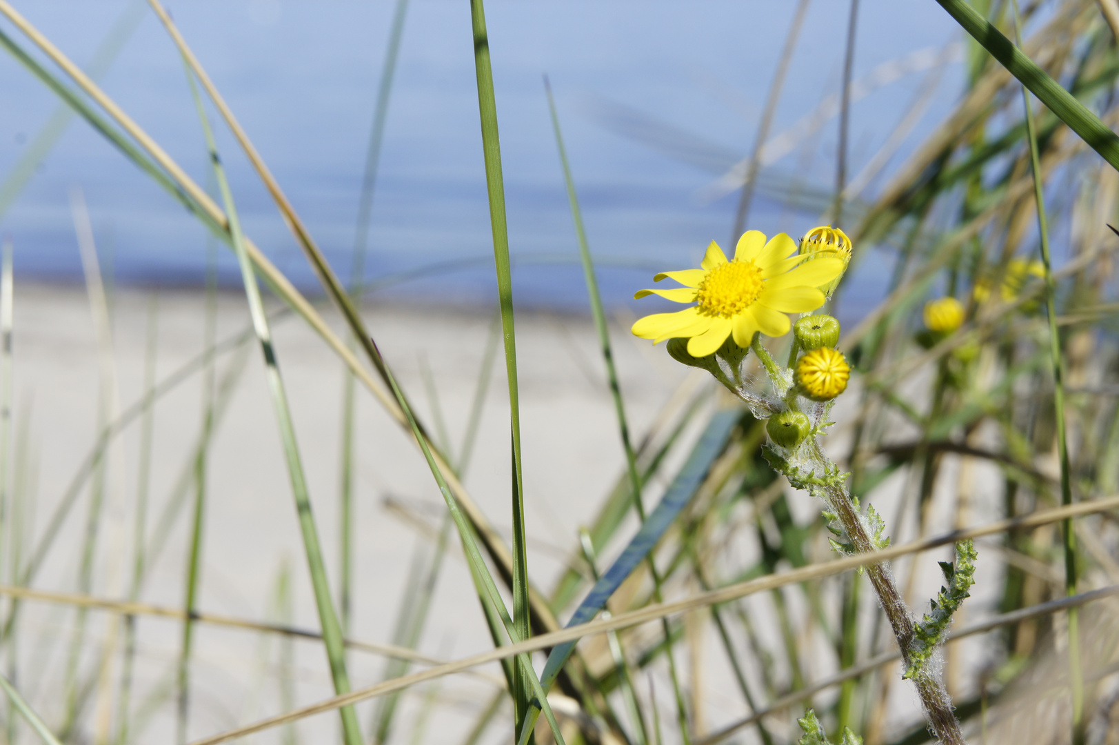 Ostseeurlaub