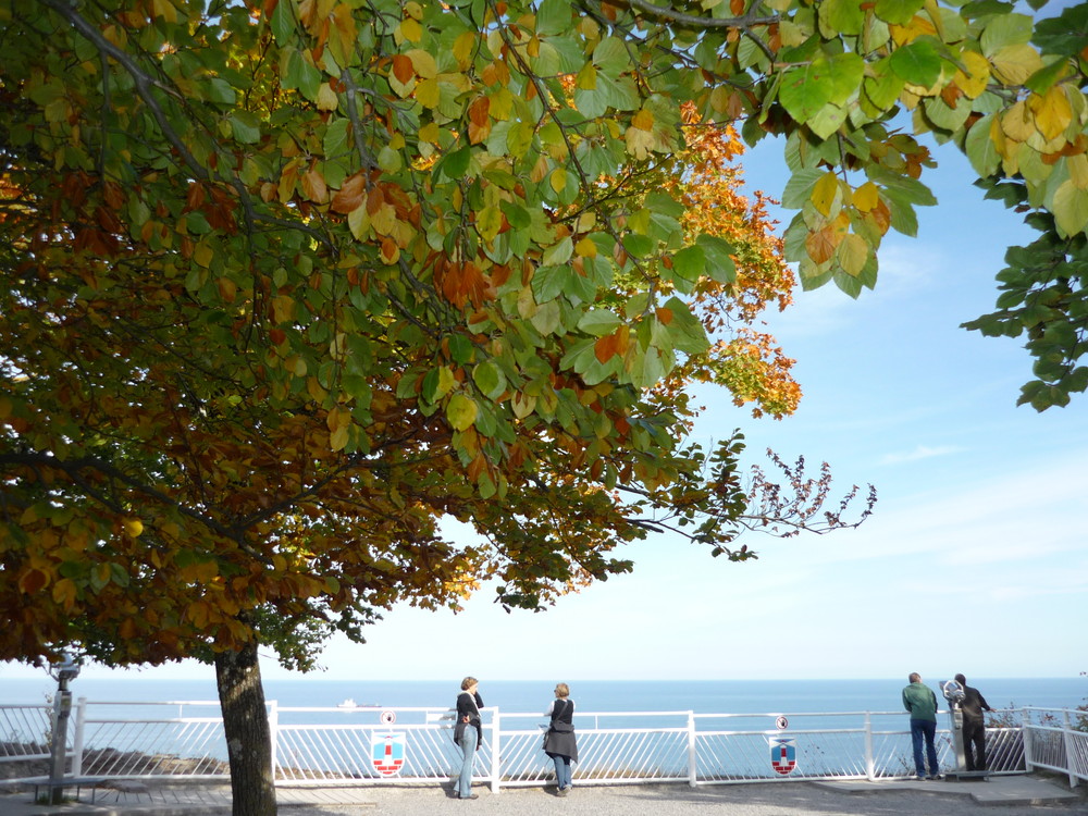 ostseeurlaub auf der klippe der kreidefelsen2