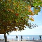 ostseeurlaub auf der klippe der kreidefelsen2