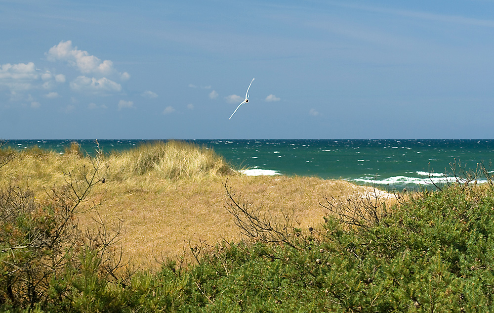 Ostseewellen