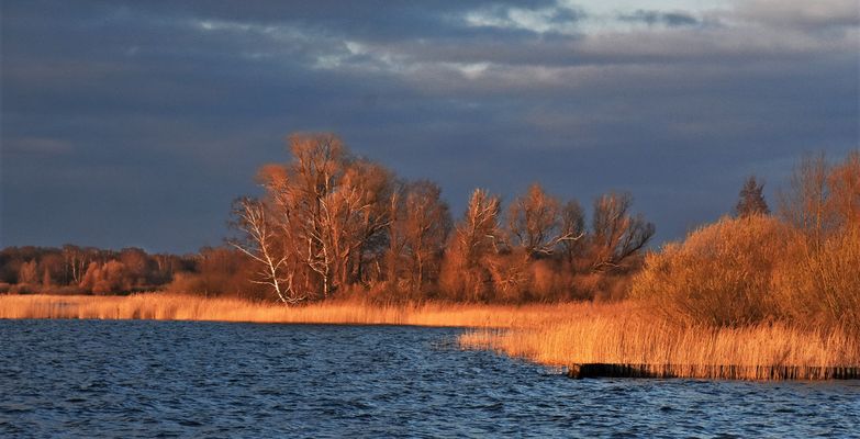 Ostseite des Müritzsee.....
