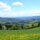 Oststeiermark