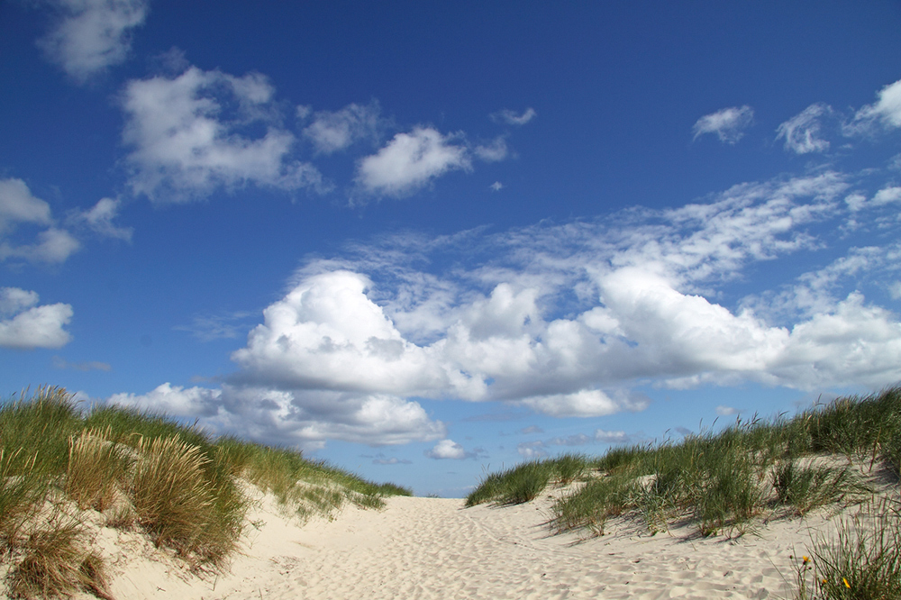 Oststrand Wangerooge