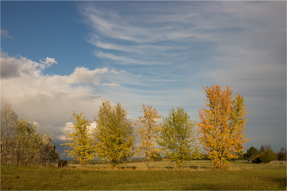 Ostthüringer Herbst