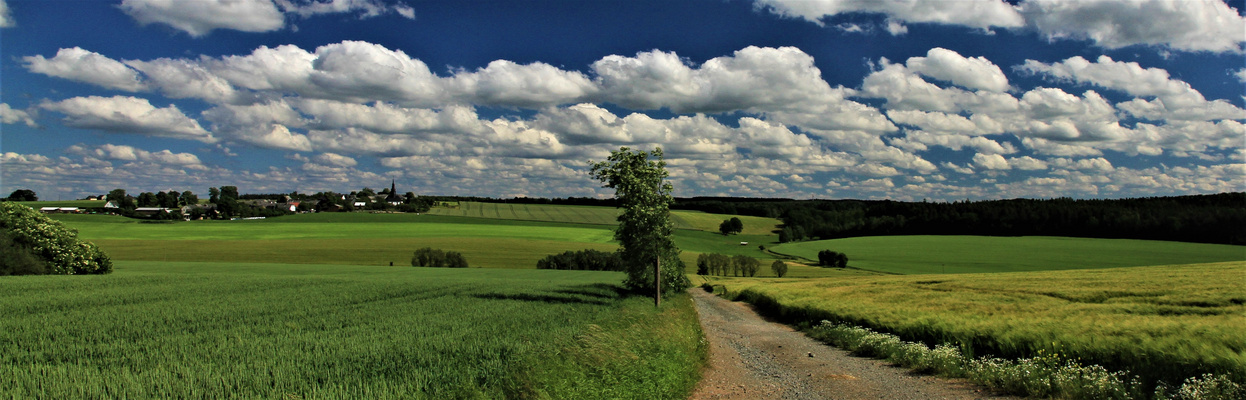 ostthüringer Landschaft