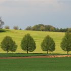 Ostthüringer Landschaft