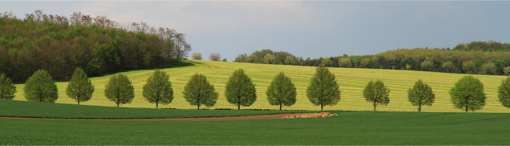 Ostthüringer Landschaft