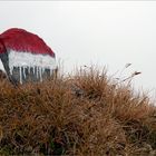 Osttirol - Am Venediger Höhenweg