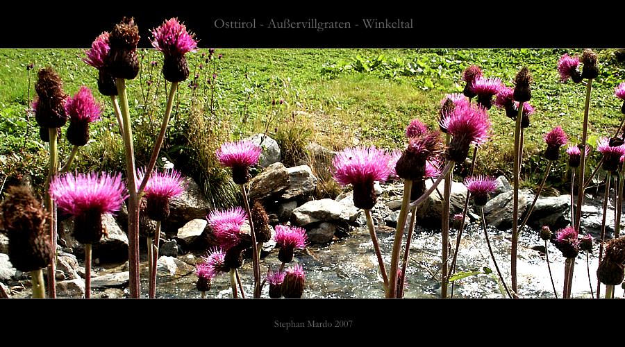 Osttirol - Außervillgraten - Winkeltal - Vol.03