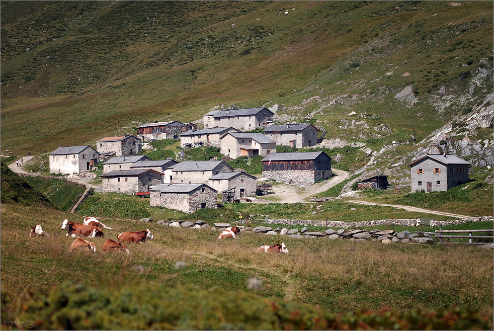 Osttirol - Jagdhausalmen