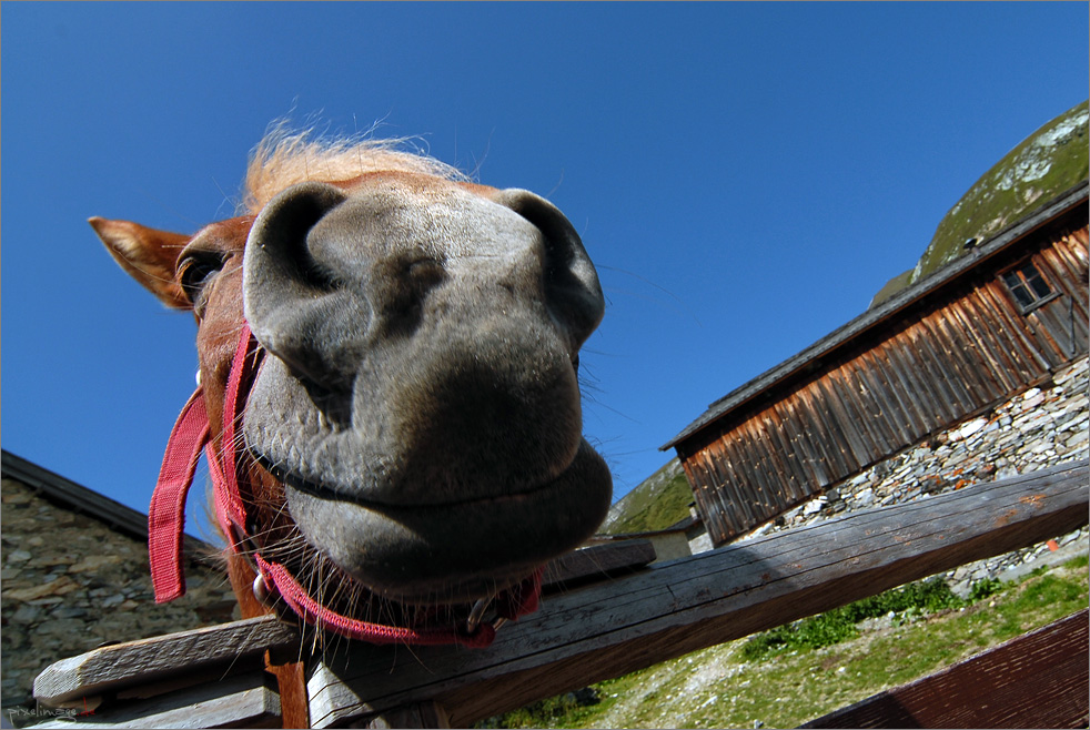 Osttirol - Neugierig ;-)