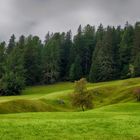 Osttirol Spätsommer