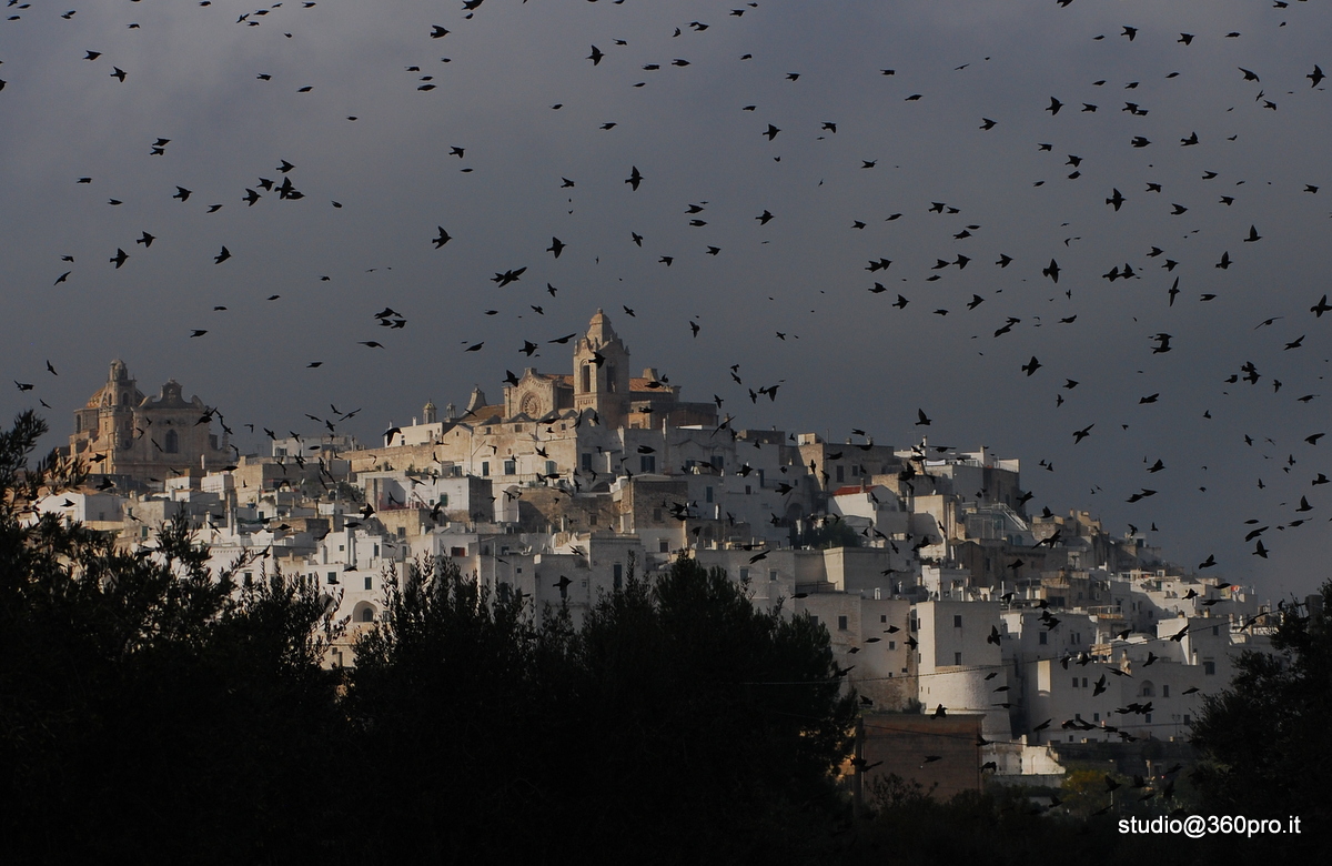 Ostuni