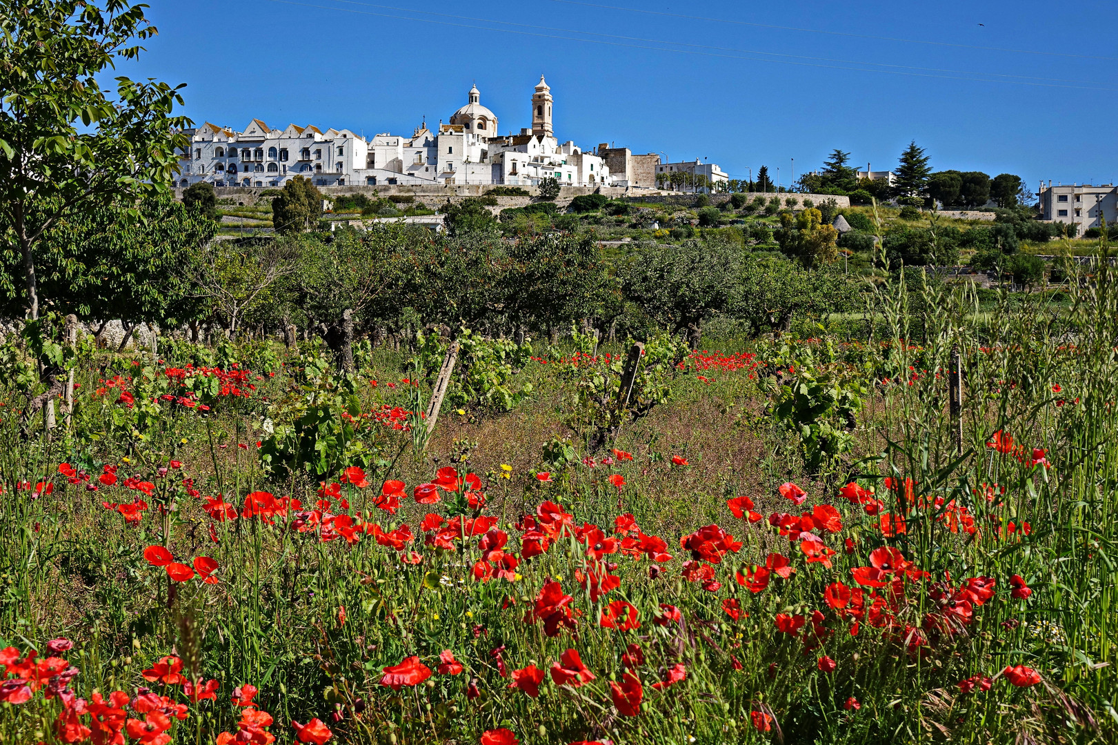 Ostuni