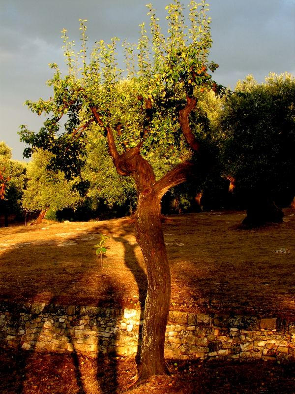 Ostuni, Puglia