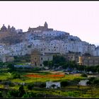 Ostuni..meravigliosa...ma che fatica arrivarci ..in bici