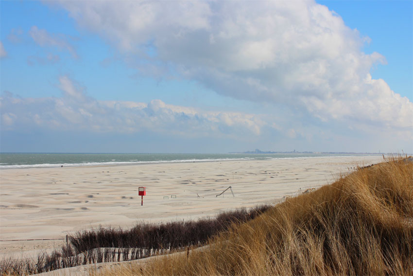 Ostwind Foto & Bild deutschland, europe, niedersachsen Bilder auf